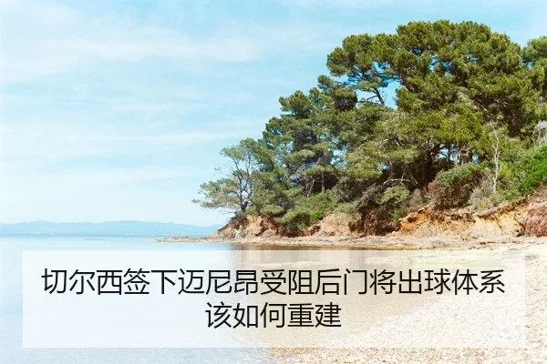 qie-er-xi-qian-xia-mai-ni-ang-shou-zu-hou-men-jiang-chu-qiu-ti-xi-gai-ru-he-chong-jian-2-365.jpg