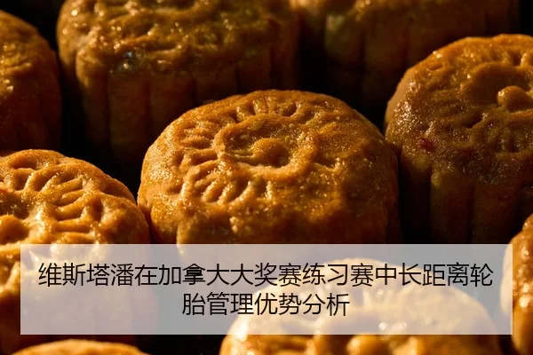 wei-si-ta-pan-zai-jia-na-da-da-jiang-sai-lian-xi-sai-zhong-chang-ju-li-lun-tai-guan-li-you-shi-fen-xi-1-129.jpg