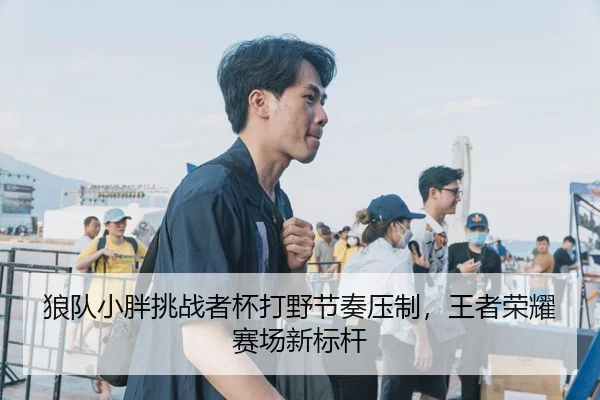 狼队小胖挑战者杯打野节奏压制，王者荣耀赛场新标杆